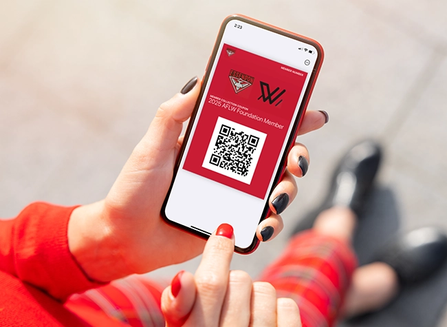 Digital pass (ePass) automation