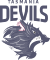 Sponsor
